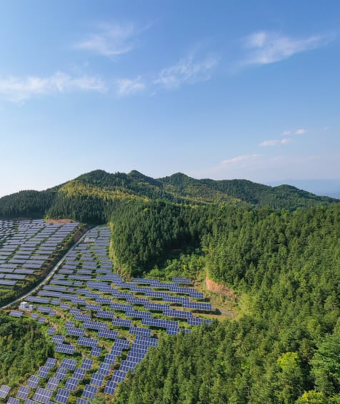 Solar panel farm on a lush hillside.