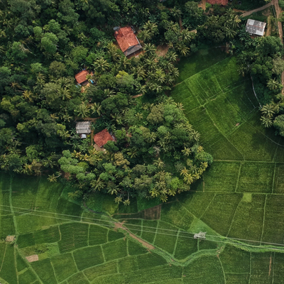 Aerial view of village in a lush forest.